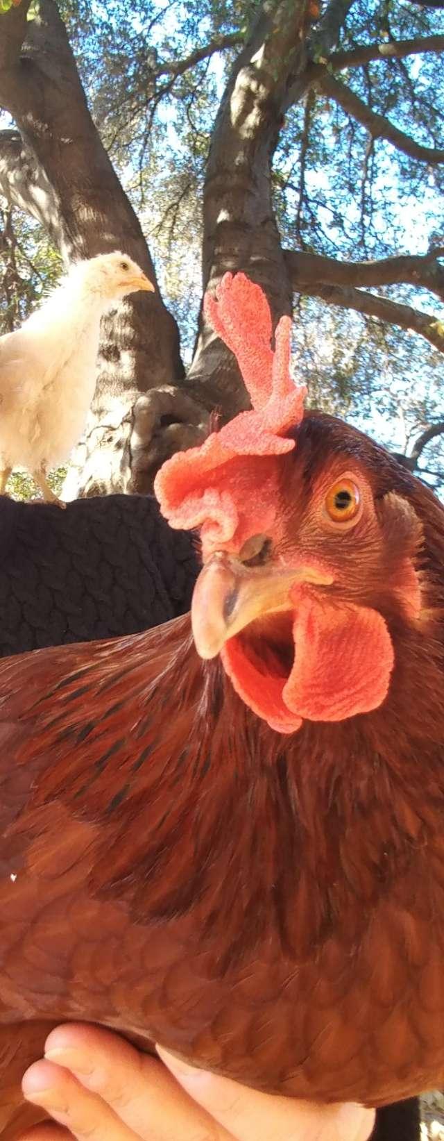 Mariah profile photo