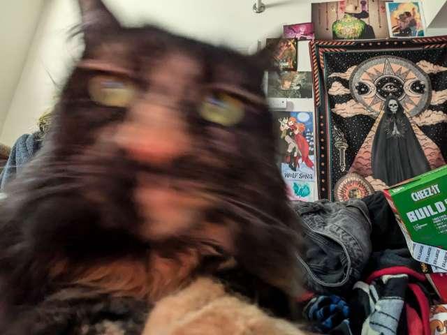 Vex profile photo