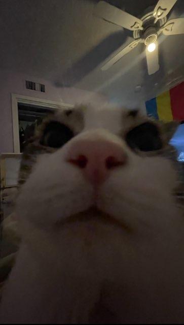A_Problem profile photo