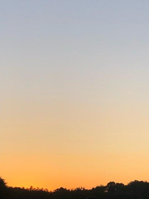 Jess profile photo