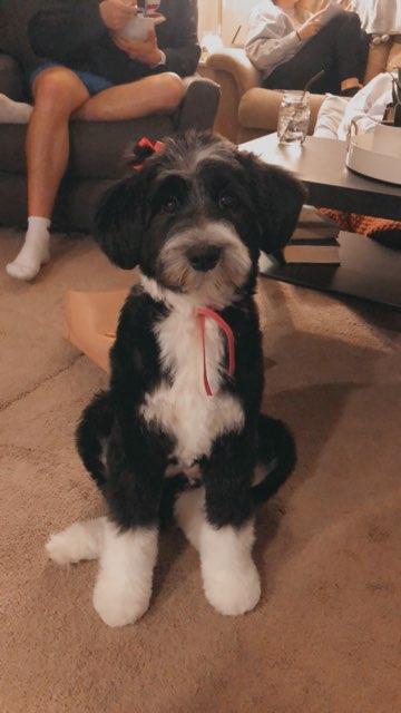 Bailey profile photo
