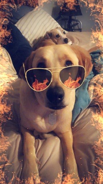 Opal profile photo
