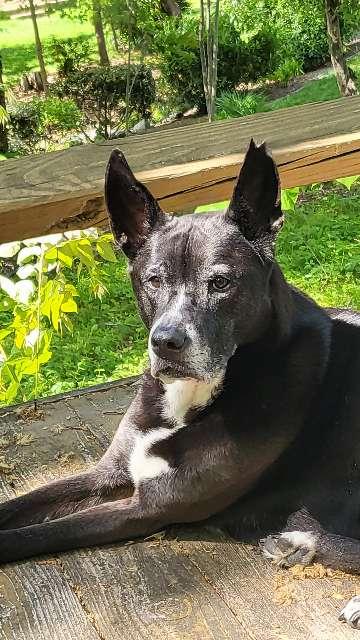 Lois profile photo