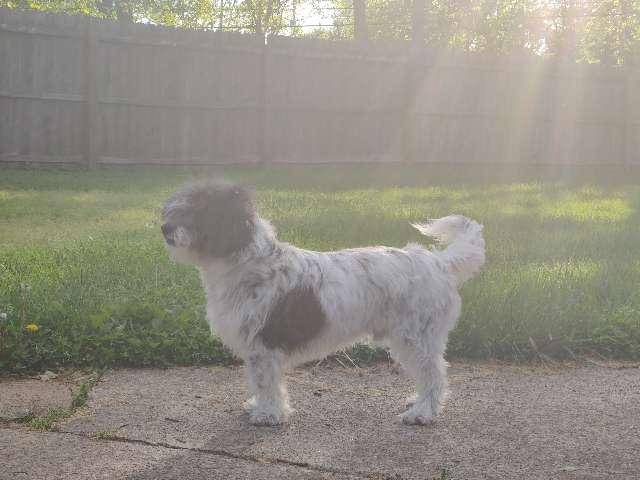 Galixy profile photo