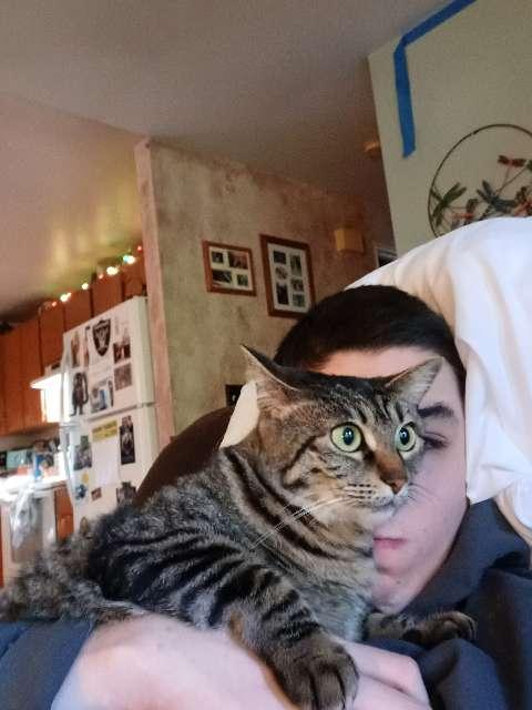 Jeffery profile photo