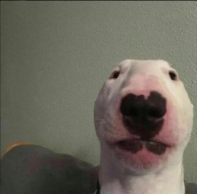 elizaaaaaaaaaaa profile photo
