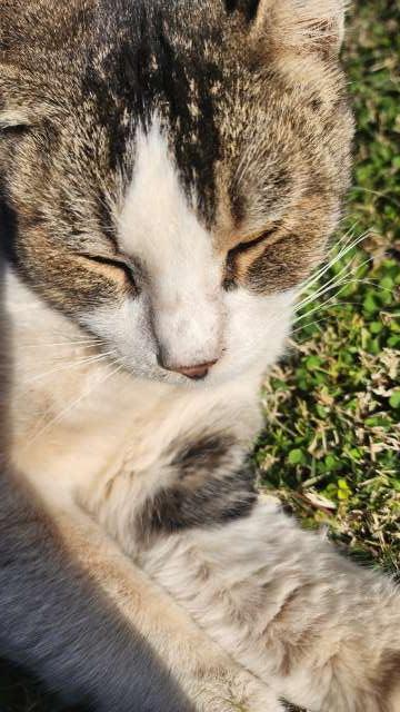 Sammy profile photo