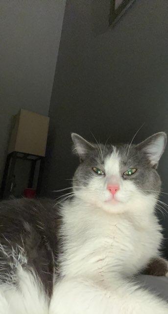 Maggie profile photo