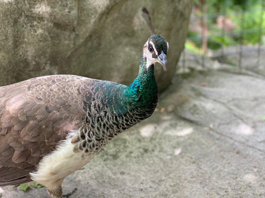 Oliver profile photo