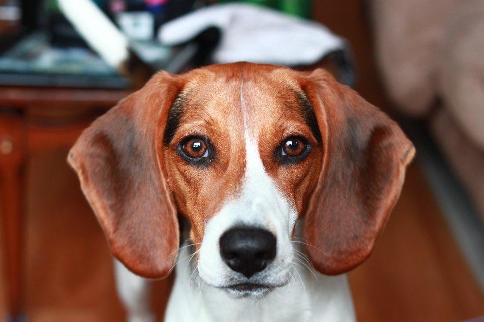 Sarah profile photo