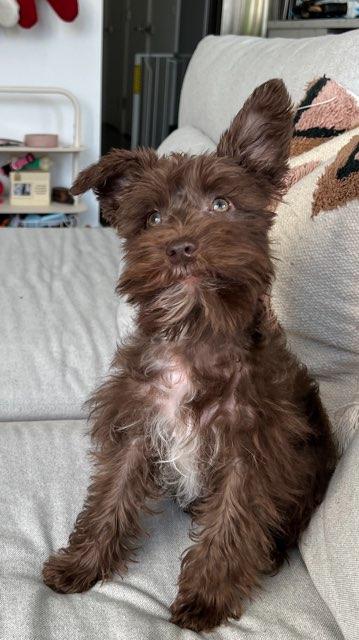 leo profile photo
