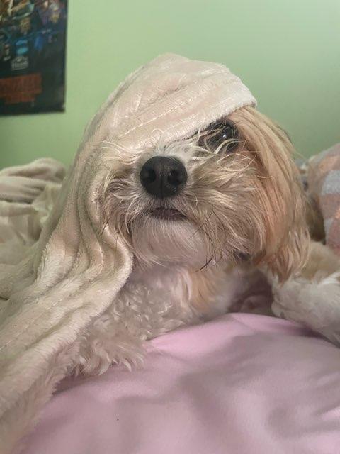 alalal profile photo