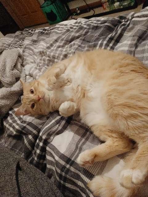 Trevor profile photo
