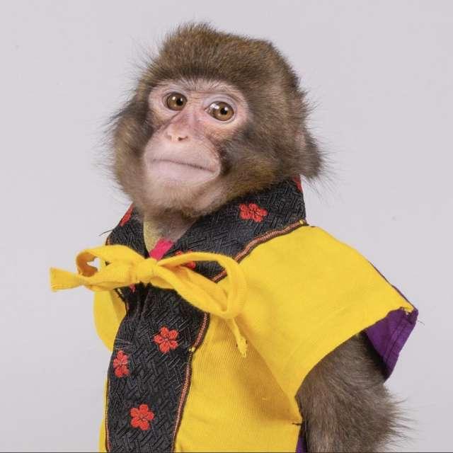 Ames profile photo