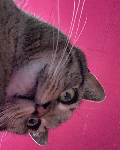 Tia profile photo