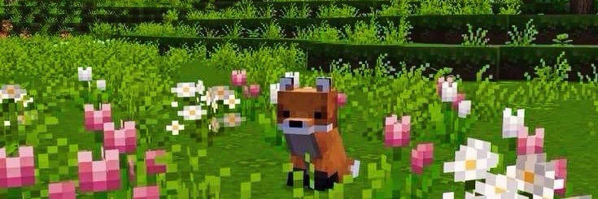 Sammy profile photo