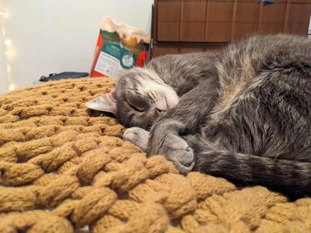 Wesley profile photo