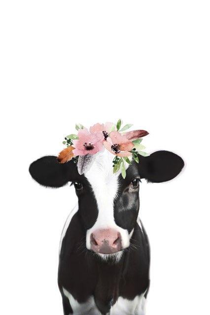 Mags profile photo