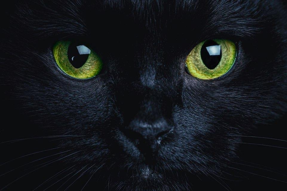 MementoMori profile photo