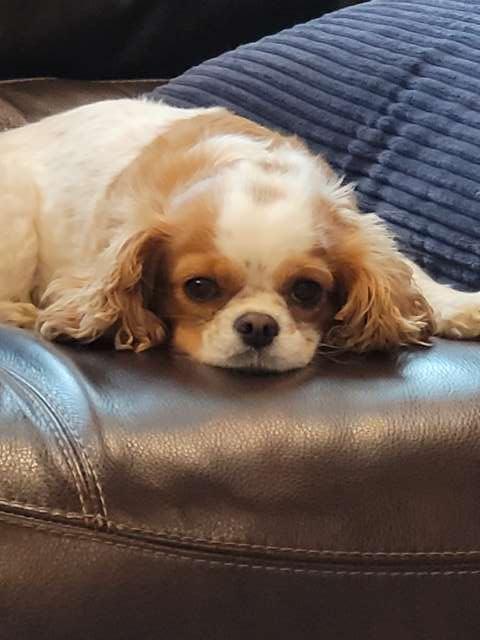 Addie profile photo
