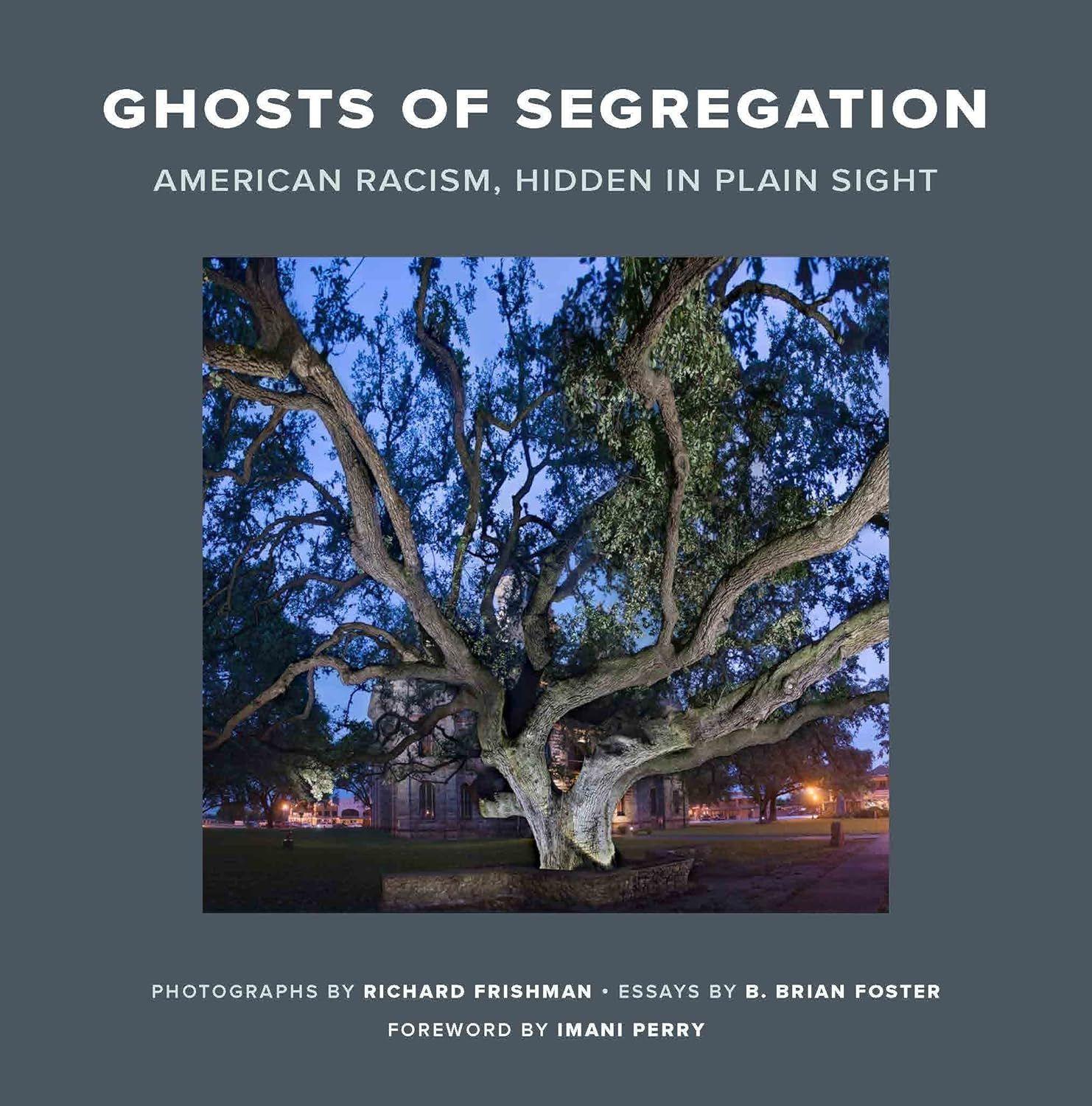 Ghosts of Segregation image